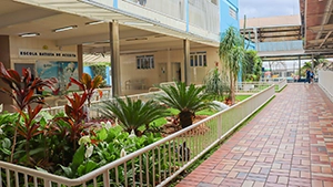 Hall